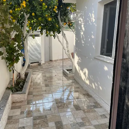 Lemon Orange Tree&grape Vine Villa