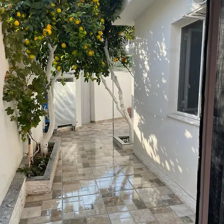 Villa Lemon Orange Tree&grape Vine