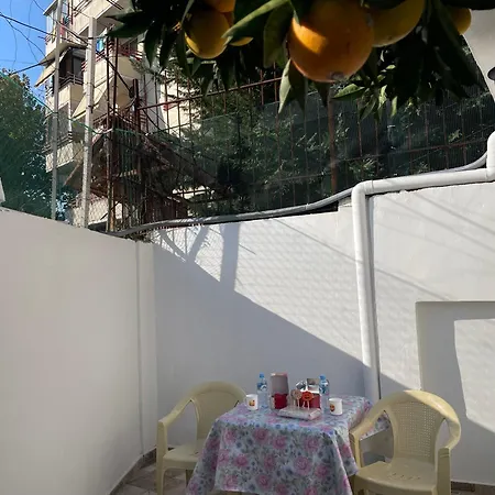 Lemon Orange Tree&grape Vine * Tirana